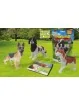 Dominator Dogs Sbabam