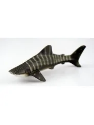 Wild Life Animali Oceano