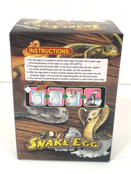 Snake Egg Growing Pet