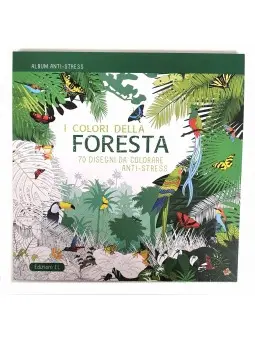 I Colori della Foresta