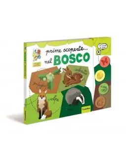 Prime Scoperte Nel Bosco