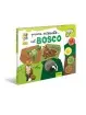 Prime Scoperte Nel Bosco