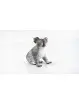 Wild Life Soft Animali Foresta