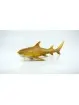 Wild Life Soft Animali Marini