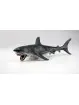 Wild Life Soft Animali Marini