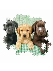 Puzzle Labrador High Quality 1000 pcs