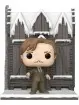 Funko Pop Deluxe Harry Potter Remus Lupin With The Shrieking Shack 156