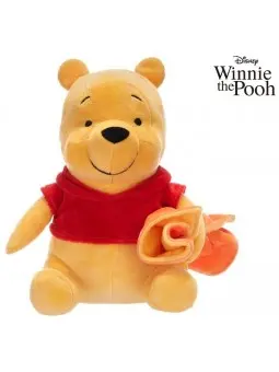Peluche Disney Winnie the Pooh con Copertina 22 cm