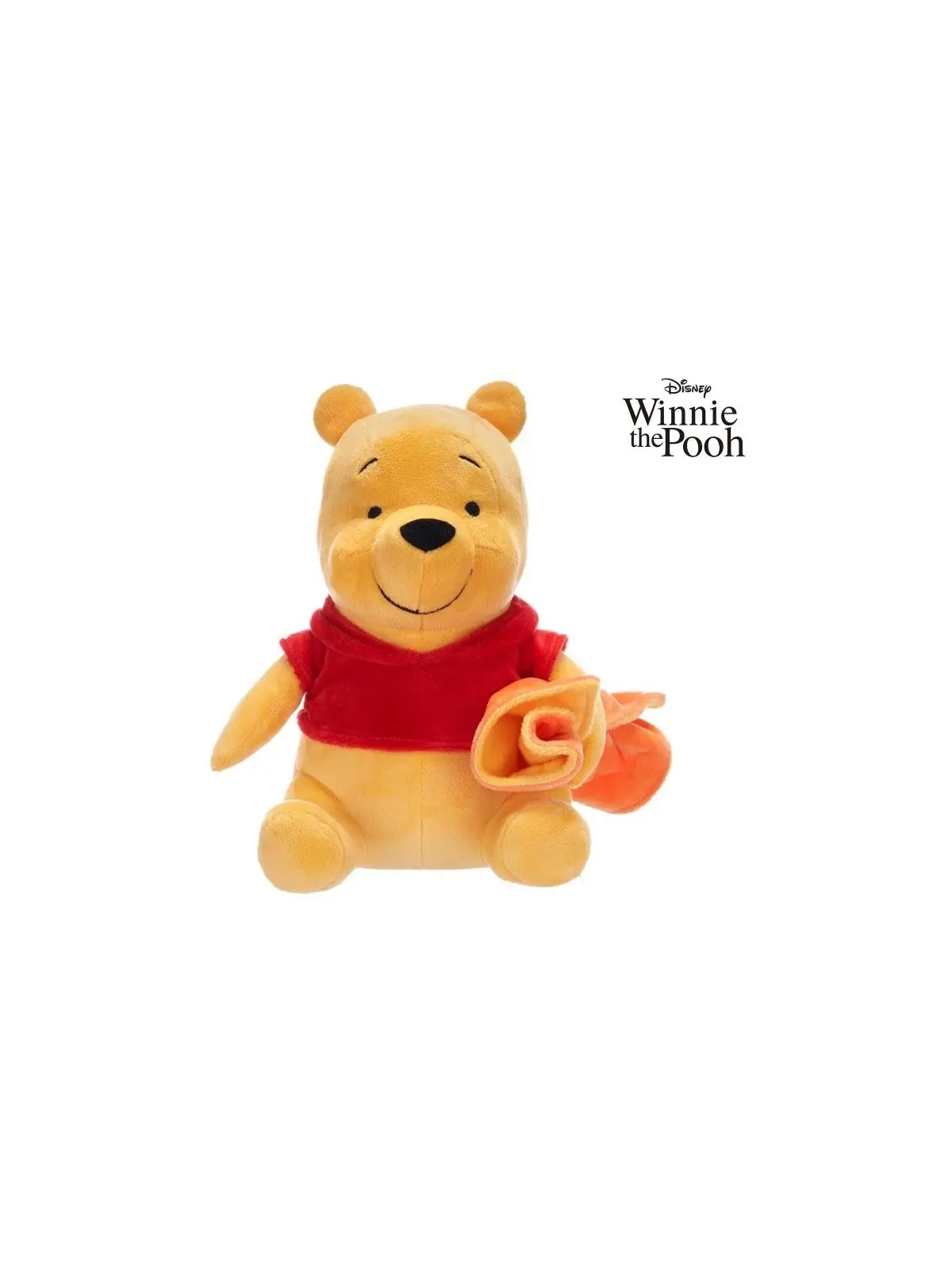 Disney Winnie the Pooh Plüsch mit Bezug 22 cm