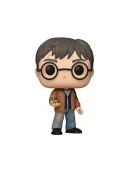 Funko Pop Harry Potter 196