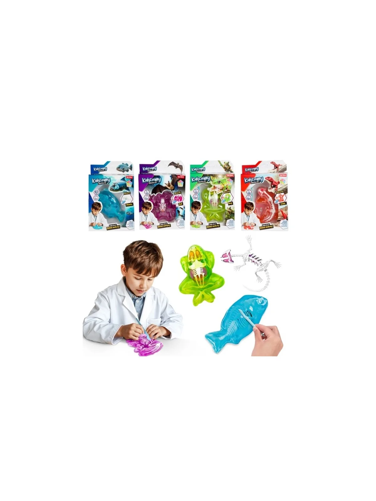 Kidscovery Slime Dissection Lab
