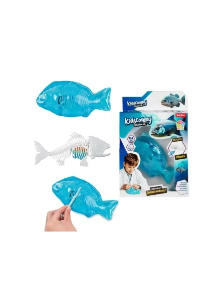 Kidscovery Slime Dissection Lab Kidscovery Slime Dissection Lab